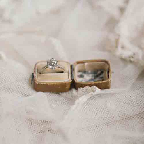 Collaborator Spotlight: Liv Hart