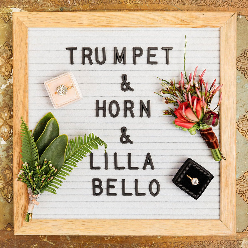 Trumpet & Horn x Lilla Bello