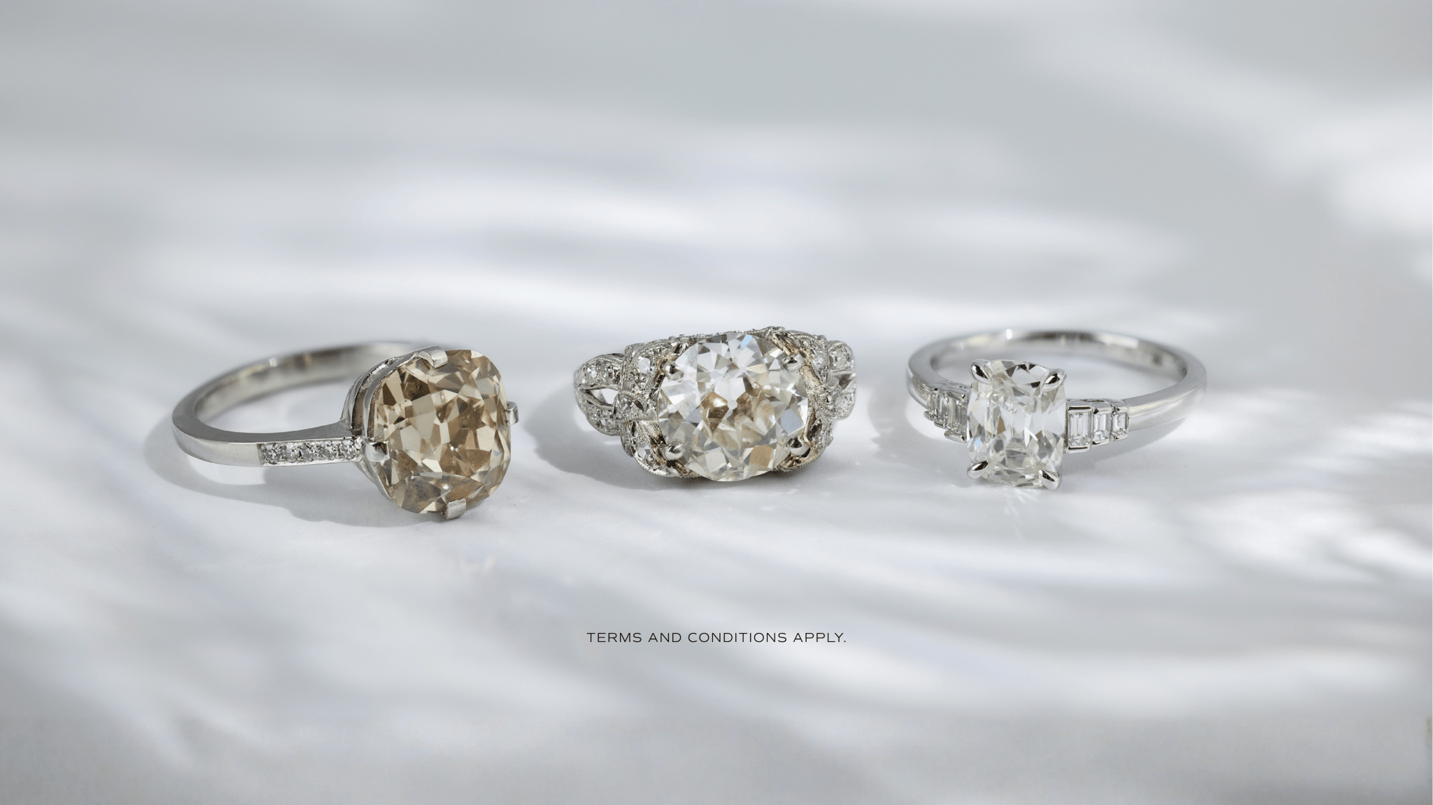 Trumpet and Horn Black Friday Event