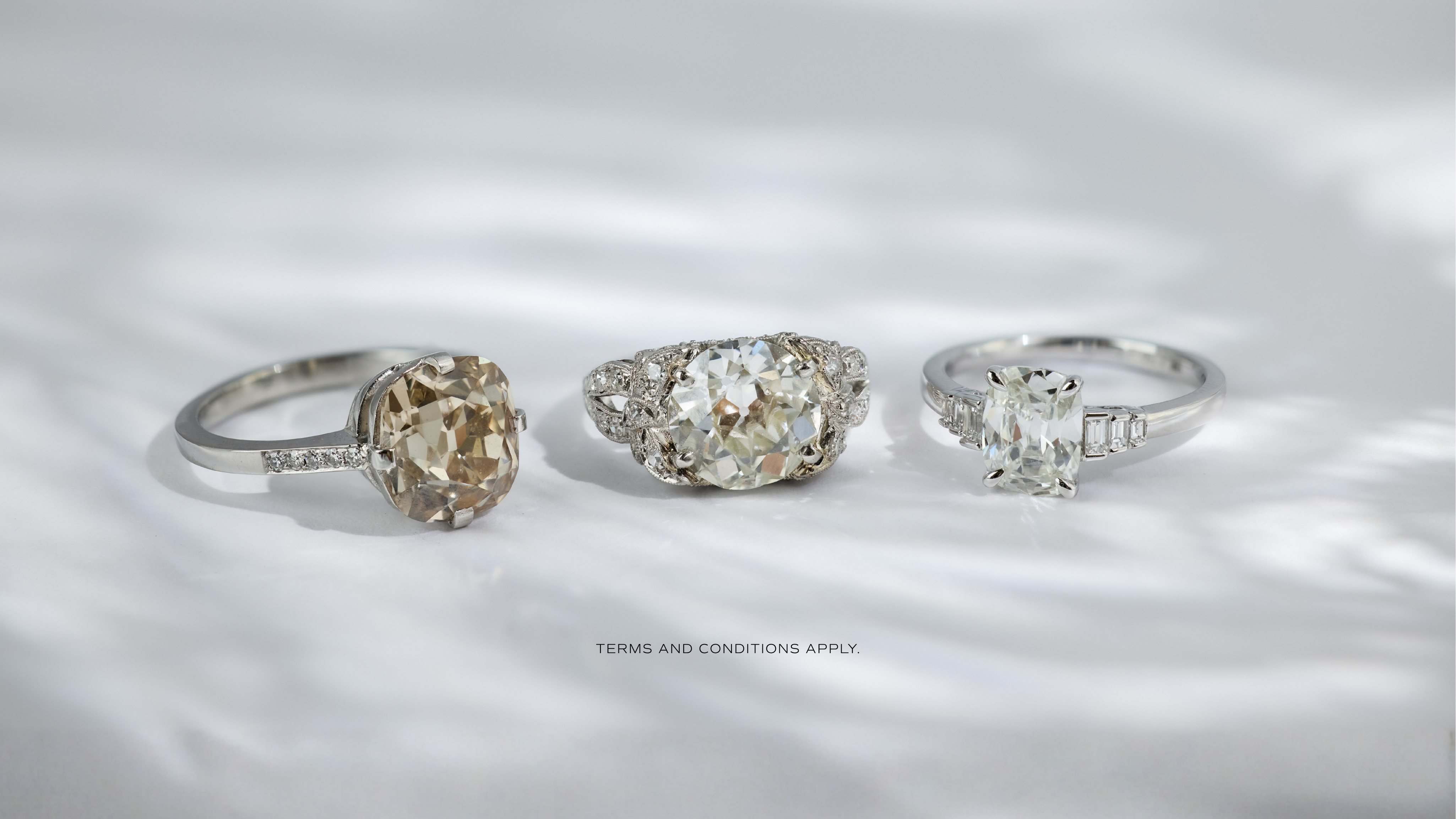 Trumpet and Horn Black Friday Event