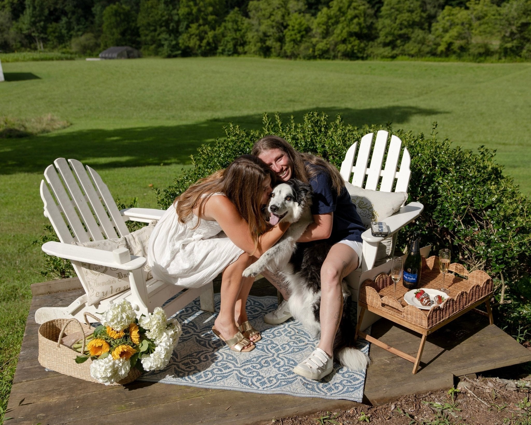 Hollis and Erika proposal 