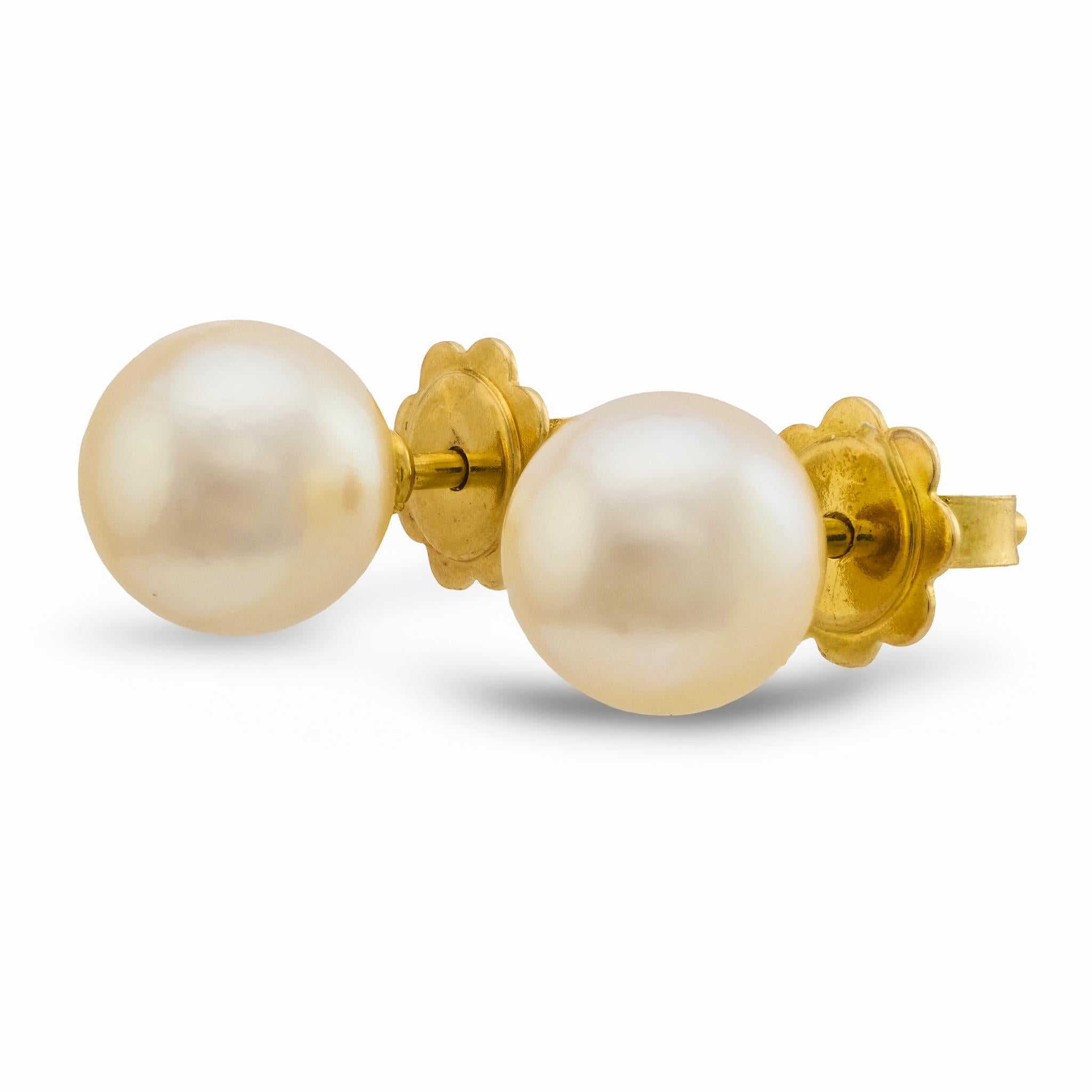 Mikimoto pearl 18k yellow gold stud earrings