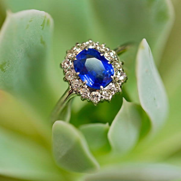 Timeless Sapphire and Diamond Ring | Newport Beach from Trumpet & Horn
