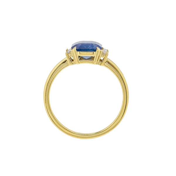Sweet Sapphire & Diamond Three Stone Modern Engagement Ring |Saugatuck